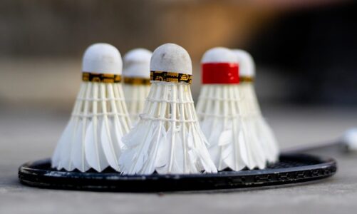 Badminton på højt niveau kræver mere end teknik
