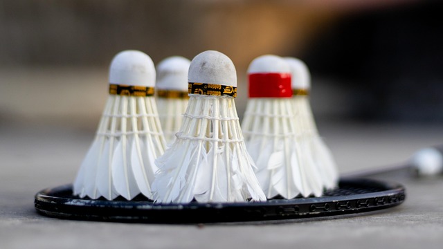 Badminton på højt niveau kræver mere end teknik