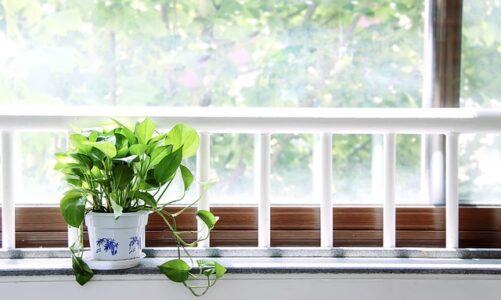 Fem retter på 30 minutter: Hurtig hverdagsmad uden stress